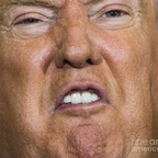 president_rump (President Rump) OnlyFans content 

 picture 1