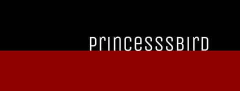 princesssbird OnlyFans Leak (33 Photos and 4 Videos) 

 picture 2