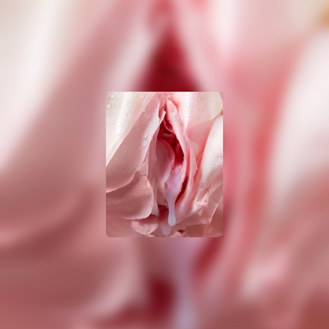 prosperousrose OnlyFans Leaked Photos and Videos 

 picture 2