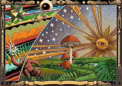 psilocybin22 OnlyFans Leaks (17 Photos and 16 Videos) 

 picture 2