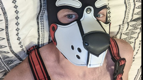 @pup_chrono leaks Onlyfans content for free 

 picture 2