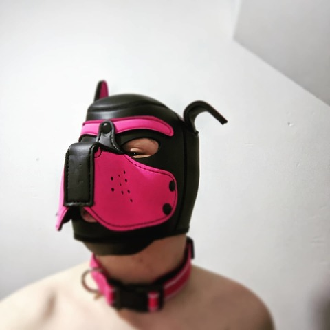 pup_dipstick (Pup Dipstick) free OnlyFans Leaked Content 

 picture 2