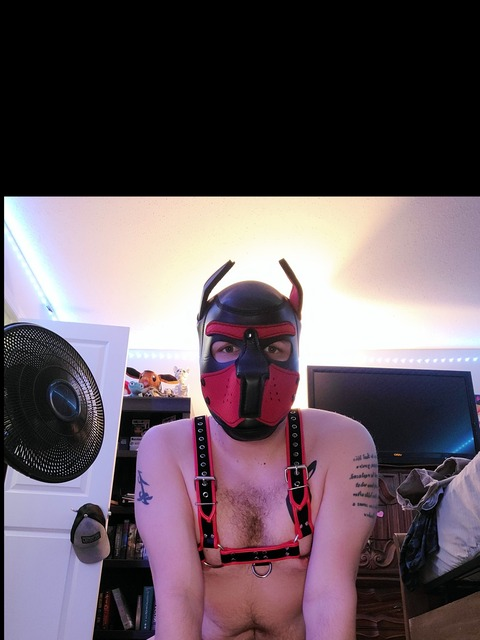 pup_merlin leaked gallery photo 2
