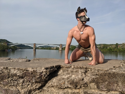 View Mowgli (pup_mowgli) OnlyFans 3 Photos and 0 Videos leaks 

 picture 2