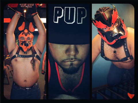 @pup_panda leaked Onlyfans photos free 

 picture 2