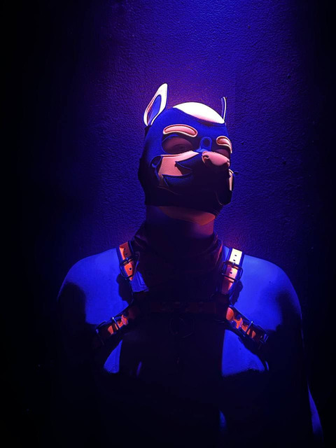 pup_quentin OnlyFans Leaks 

 picture 2
