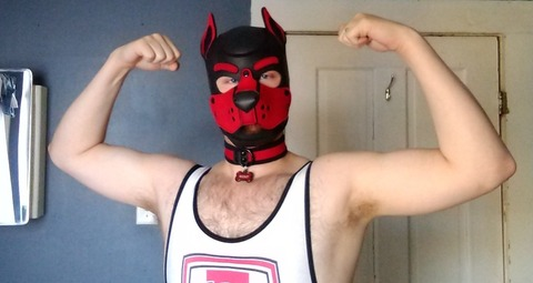 pup_scout leaked gallery photo 2