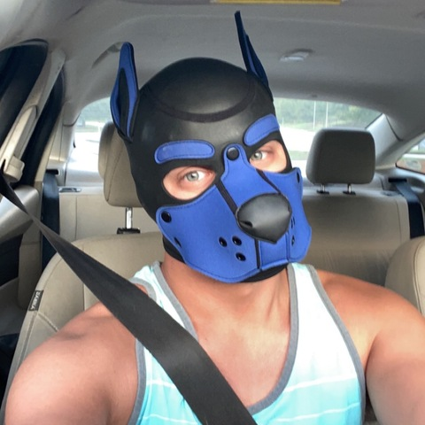 Free access to pupzeno Leaks OnlyFans 

 picture 2