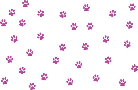 @purplecats leaked Onlyfans videos and photos for free 

 picture 2