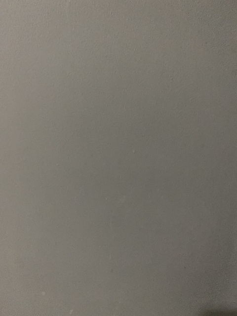 qforh leaked gallery photo 2