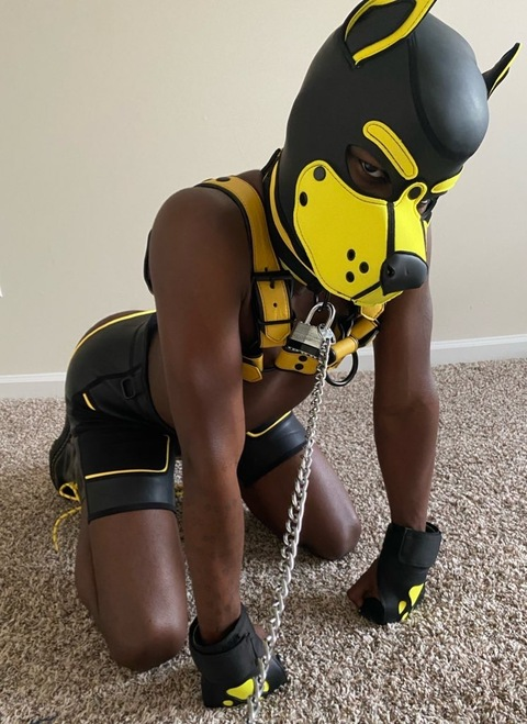 Download quayochann OnlyFans videos and photos for free 

 picture 2