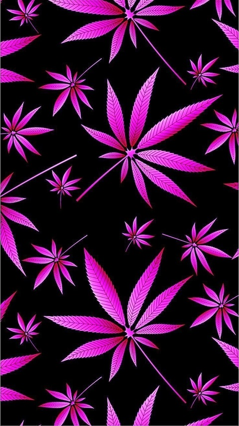 @queen_sativa420 leaks Onlyfans videos and photos free 

 picture 2