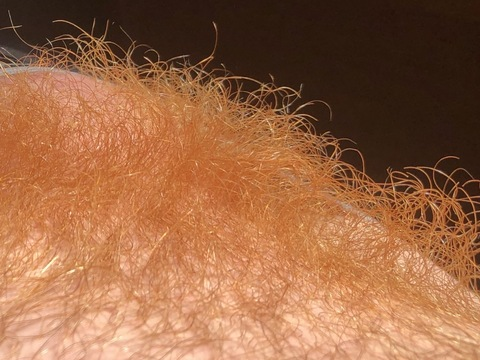 radbrad OnlyFans Leaked 

 picture 2