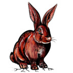Onlyfans leaks redrabbit6969 

 picture 1