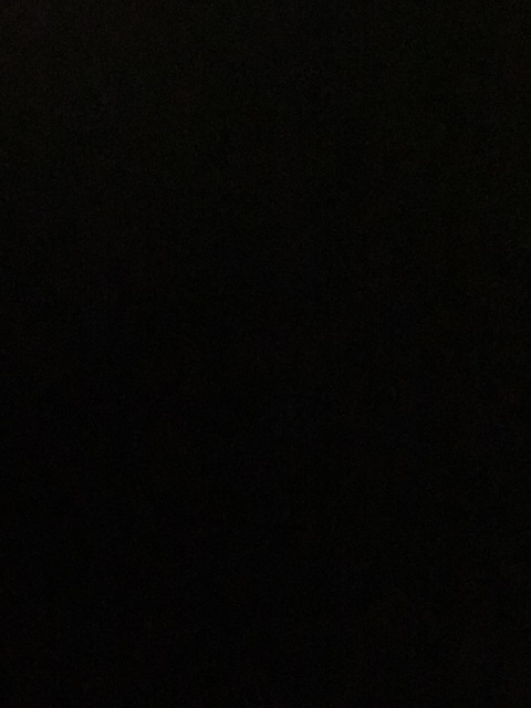 renee420 leaked gallery photo 2