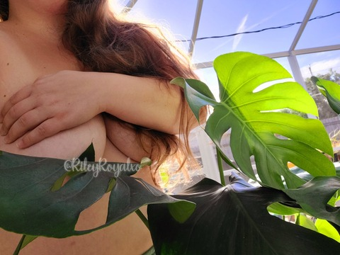 View rileyroyalxo (Princess 👑) OnlyFans 1757 Photos and 205 Videos leaks 

 picture 2