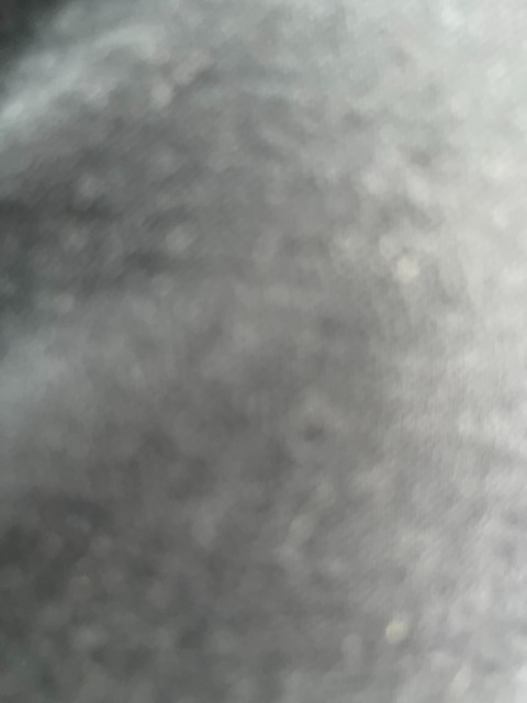 rizzymfraw OnlyFans Leaks (1 Photos and 0 Videos) 

 picture 2