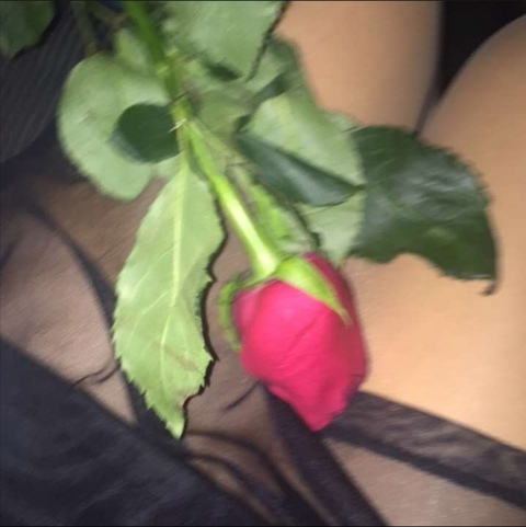View rosarose (Rosa kim) OnlyFans 0 Photos and 0 Videos leaks 

 picture 2