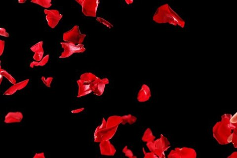 Onlyfans leak rosebuds069 

 picture 2