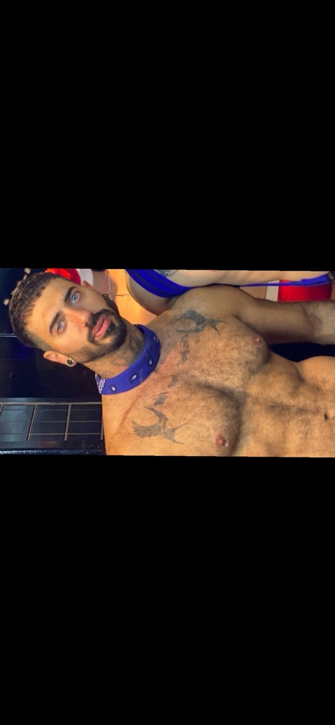 View Royal (royal_xxl) OnlyFans 11 Photos and 31 Videos gallery 

 picture 2