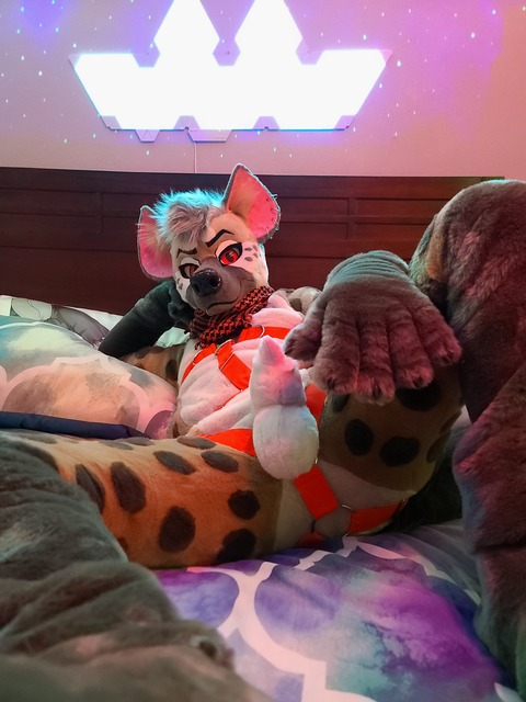 @ryffhyena leaked Onlyfans photos free 

 picture 2