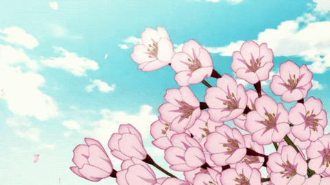 sakura022 (sakura) OnlyFans Leaks 

 picture 2