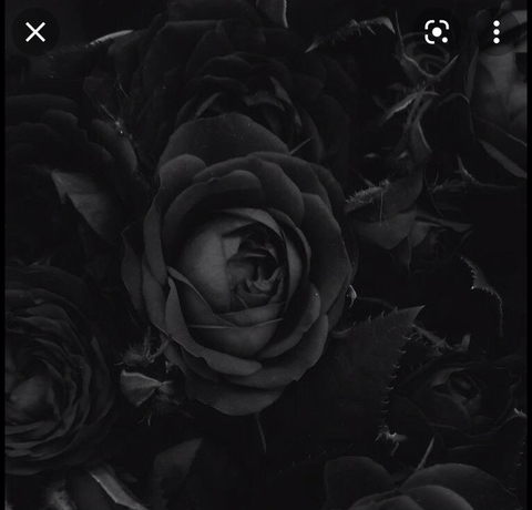 santeriaa (Santeria) OnlyFans Leaked Content 

 picture 2