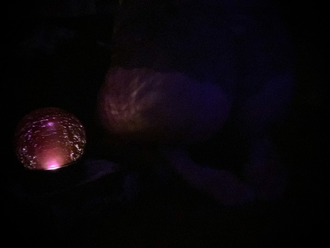 sapphire.eunoia OnlyFans Leaked Photos and Videos 

 picture 2