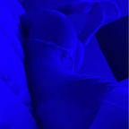 Free access to sarahmiller8 Leak OnlyFans 

 picture 1