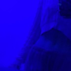 sarahxxx_03 (✨Sarah✨) free OnlyFans Leaks 

 picture 1
