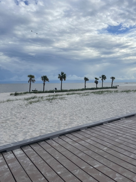 sassy_beach OnlyFans Leaked 

 picture 2