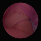 satansprincessc OnlyFans Leak (70 Photos and 69 Videos) 

 picture 1