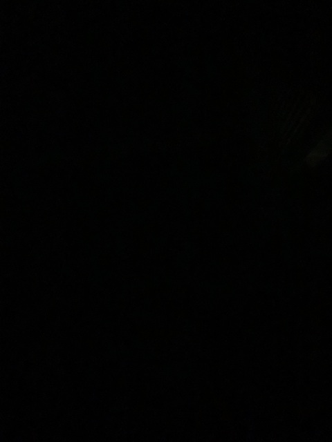 satanwiseee OnlyFans Leaks 

 picture 2