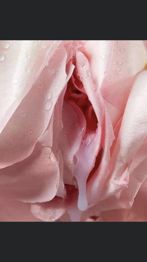 sativadivacream (Danielle💋) free OnlyFans Leaked Content 

 picture 2