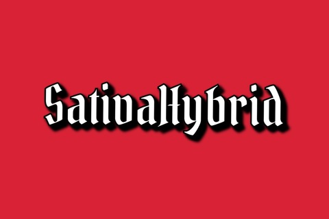 sativahybrid (SativaHybrid) OnlyFans Leaked Content 

 picture 2