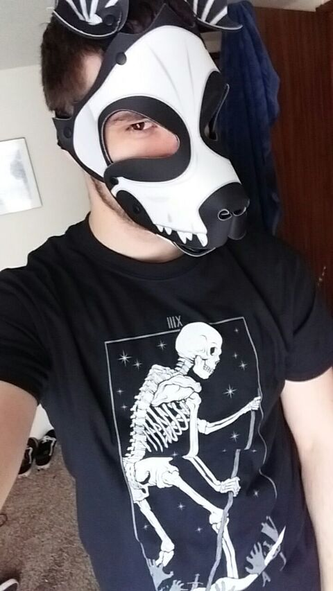 Download scrapsdeaddog OnlyFans videos and photos for free 

 picture 2
