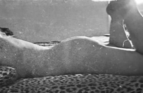 secret_lady10 OnlyFans Leak 

 picture 2