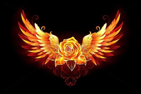 sexmetalphoenix_softcore OnlyFans Leaked (138 Photos and 11 Videos) 

 picture 2