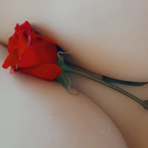 shearheart87 OnlyFans Leaked Photos and Videos 

 picture 2