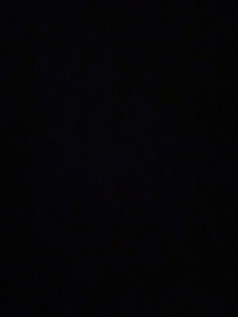shelbyann OnlyFans Leaked 

 picture 2