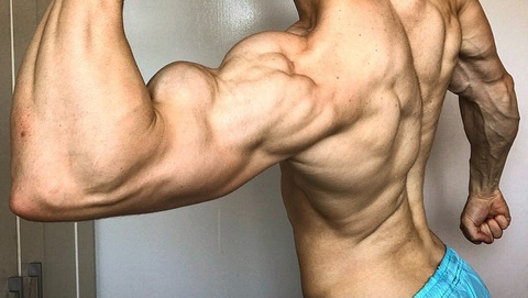 shreddedwarrior OnlyFans Leaked 

 picture 2