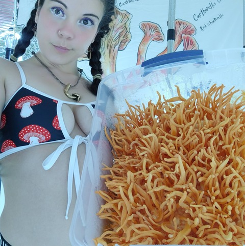 shroomy.baby OnlyFans Leak (1102 Photos and 186 Videos) 

 picture 2