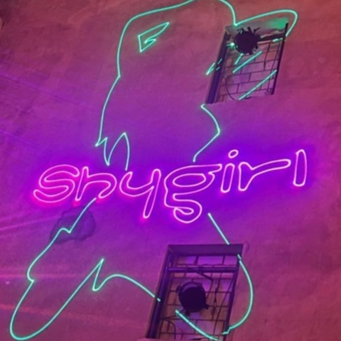 shygirl (Shygirl) free OnlyFans Leaked Pictures & Videos 

 picture 2