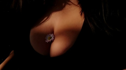 Onlyfans free content sila.necisssta 

 picture 2