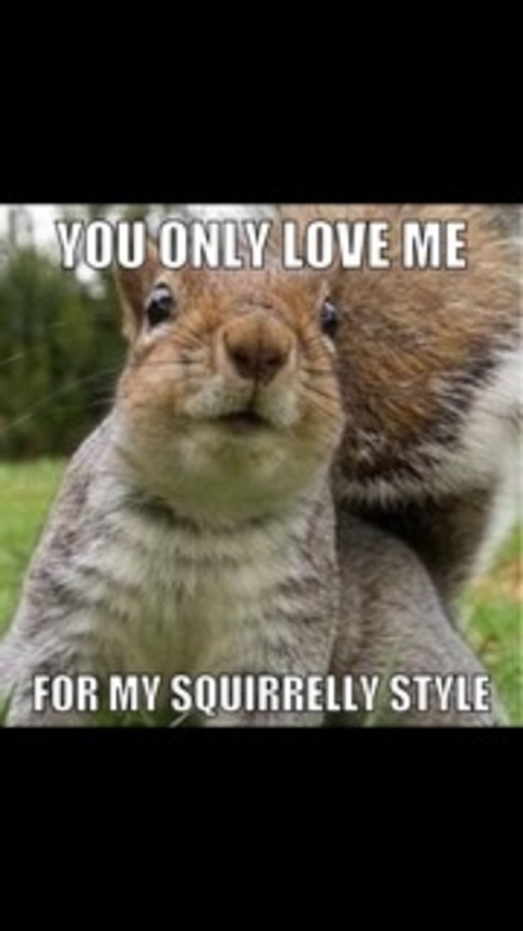 Onlyfans free content slackersquirrel 

 picture 2