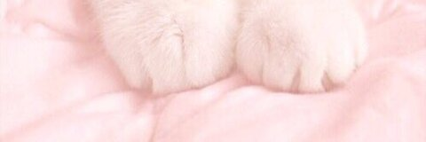 Free access to sluttyrules Leak OnlyFans 

 picture 2