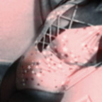 smithlily5 (Lily smith) free OnlyFans Leaks 

 picture 1