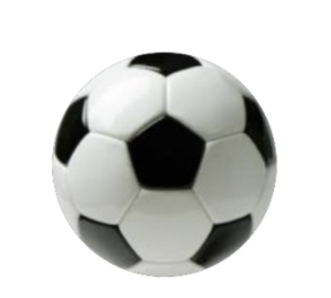 soccerjock8445 OnlyFans Leak (33 Photos and 21 Videos) 

 picture 2