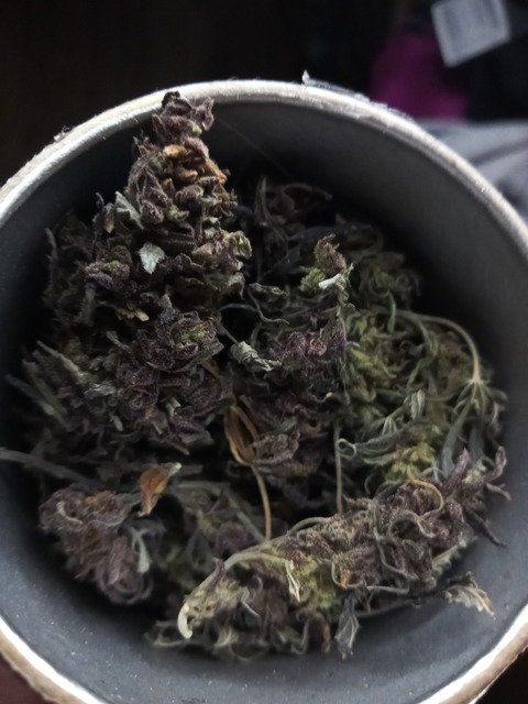 soffialuveri leaked gallery photo 2