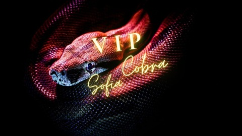 sofia_cobravip (💖 Sofia VIP) OnlyFans Leaked Videos and Pictures 

 picture 2